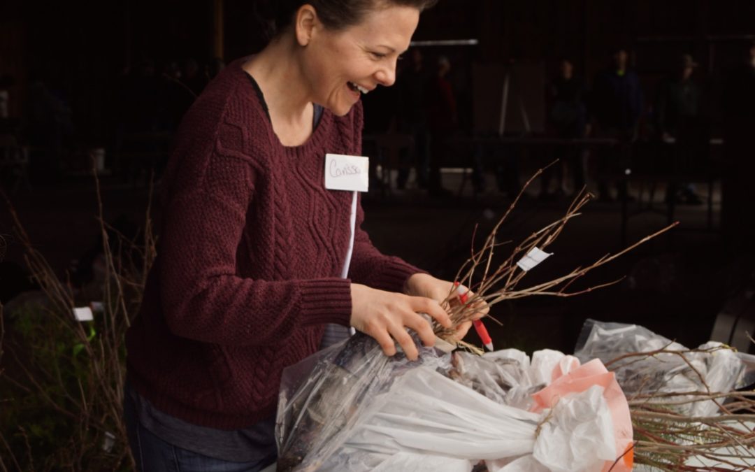 Volunteer Carissa Stein packages an order of trees