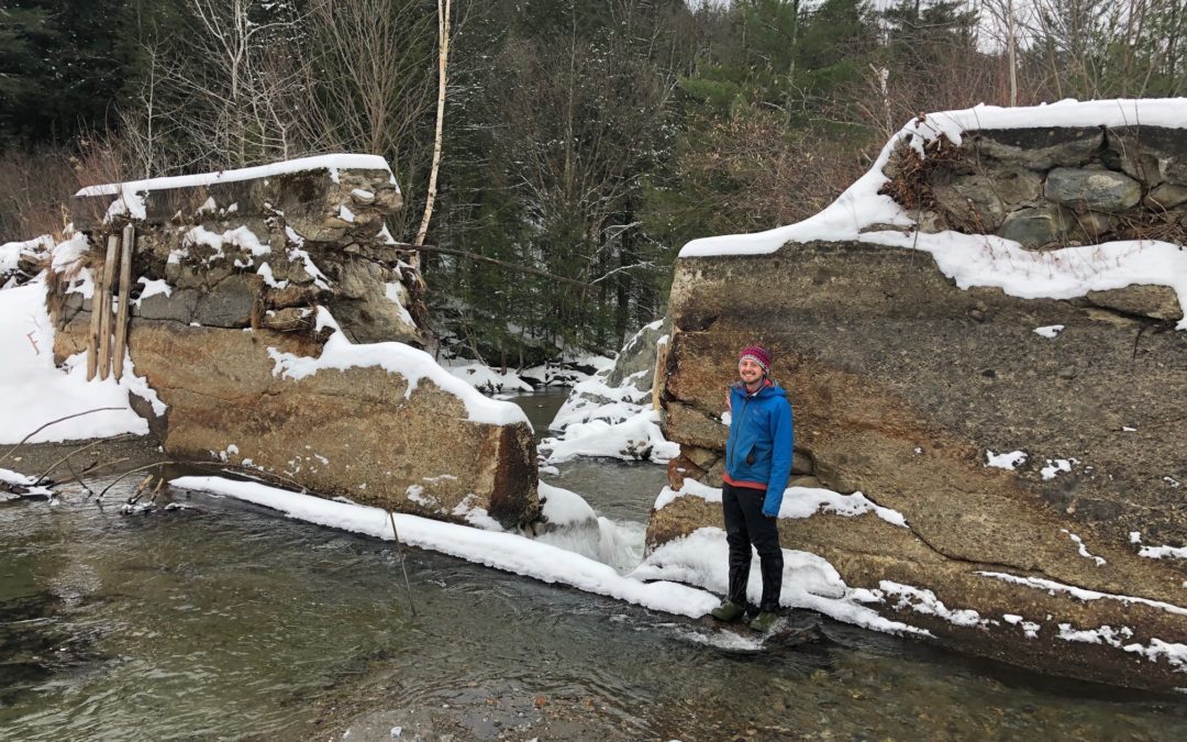 Restoring Trout Habitat at the Johnsons Mill Dam