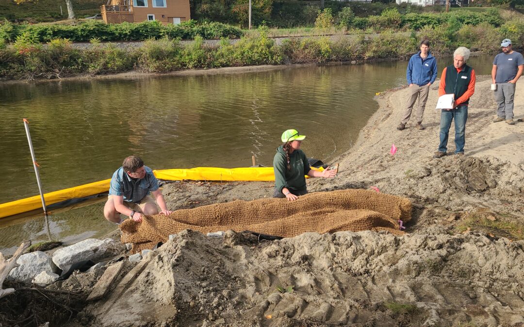 Lake Shoreland Restoration Work Continues in the Northeast Kingdom